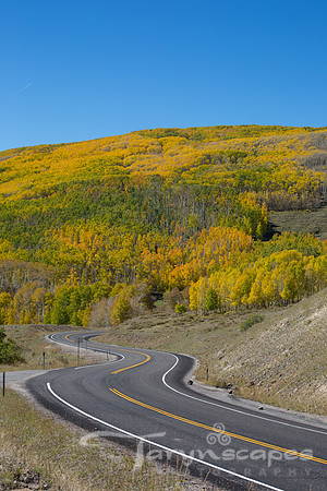 Winding through Dixie