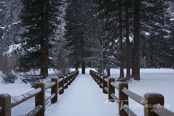 Straight and Narrow