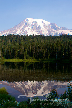 Quiet Reflection